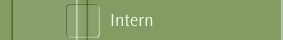 Intern